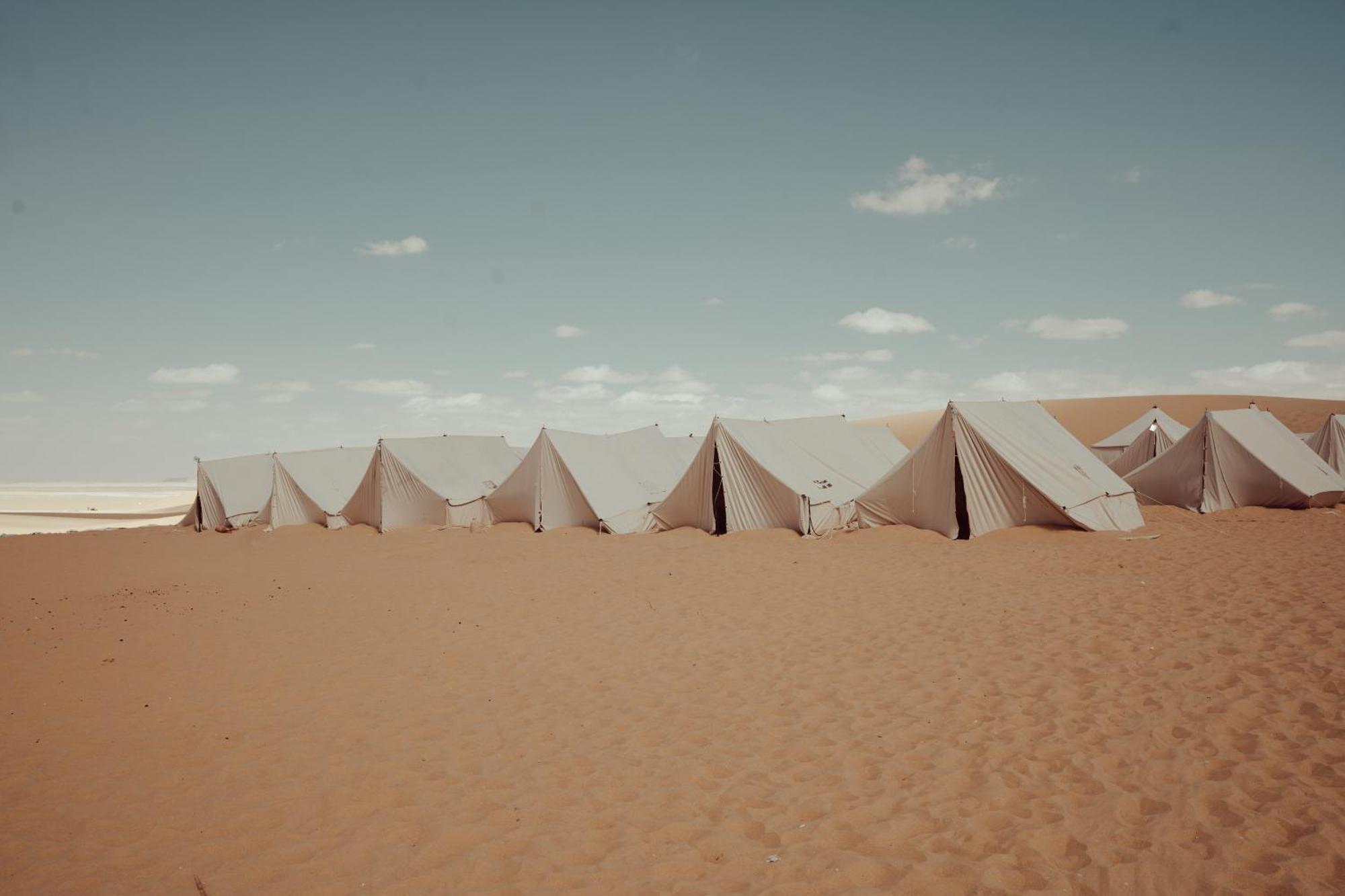 Tzila Camp Fayoum