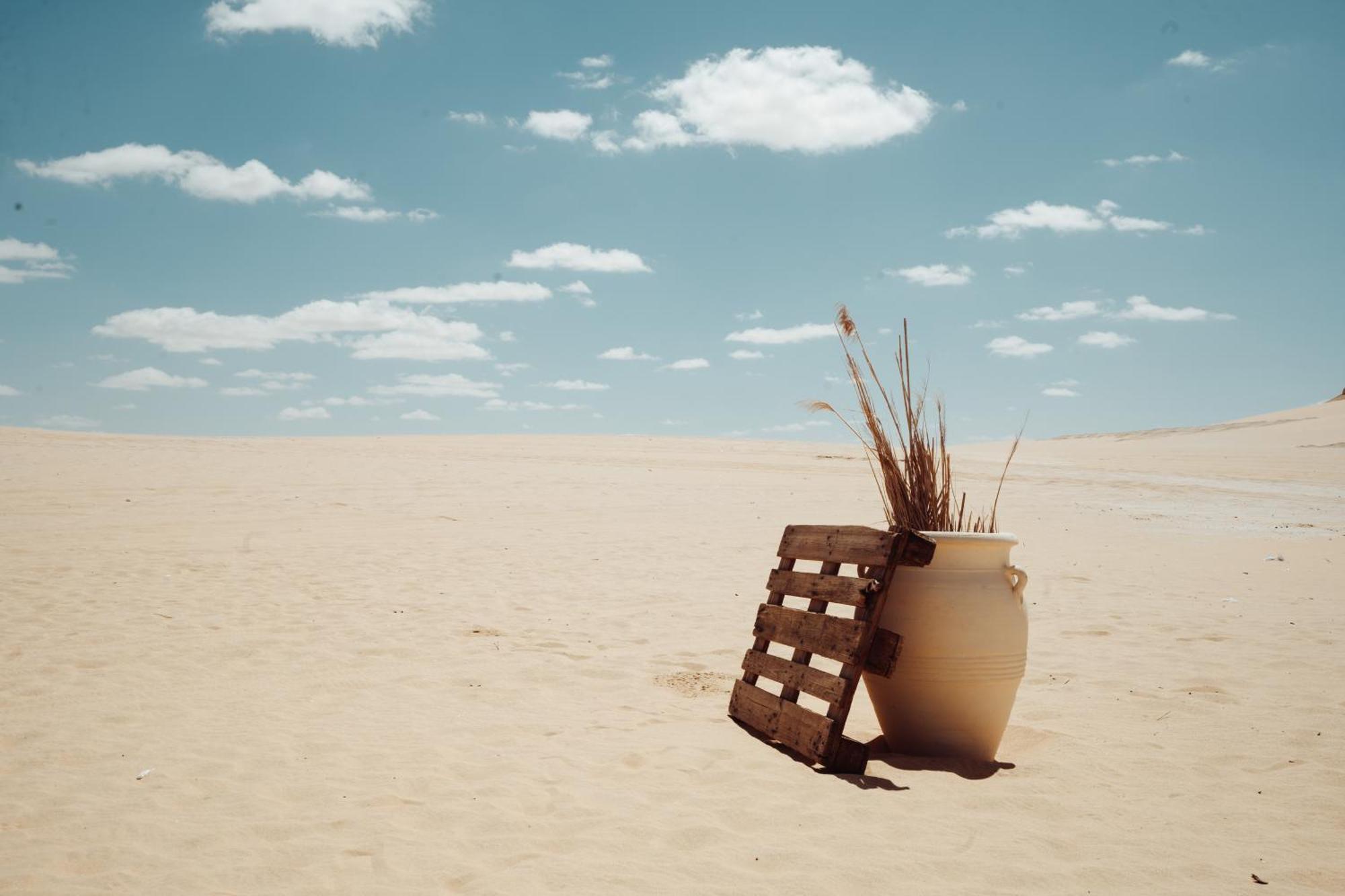 Tzila Camp * Fayoum
